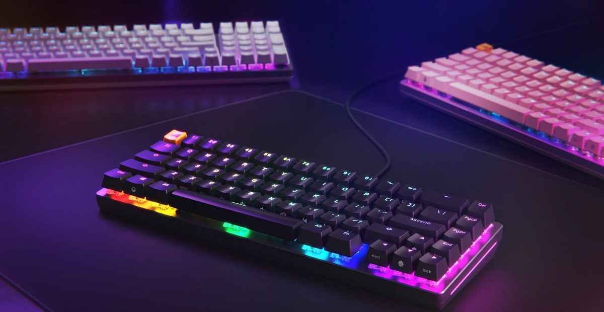 Mouse