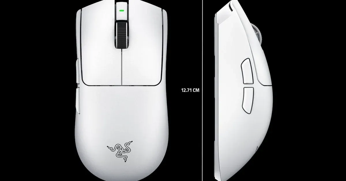 Mouse